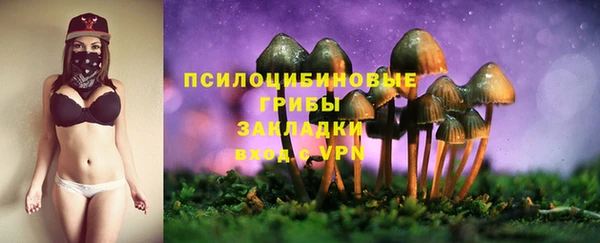 ECSTASY Переславль-Залесский