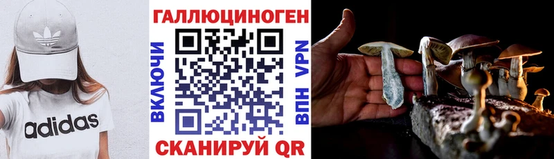 Купить где  Серов  Псилоцибиновые грибы GOLDEN TEACHER 
